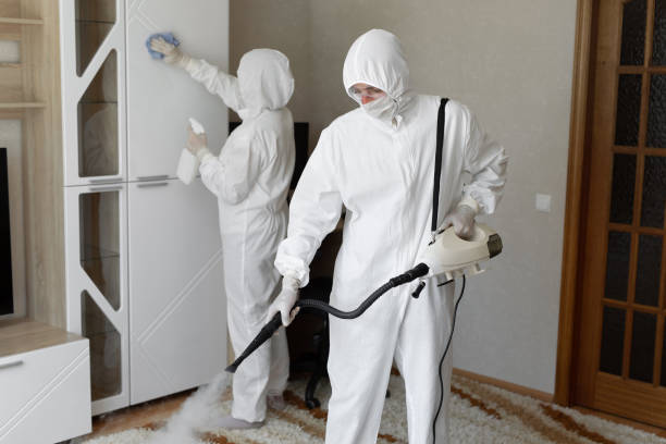 24/7 Emergency Odor Removal experts in Sidney, OH